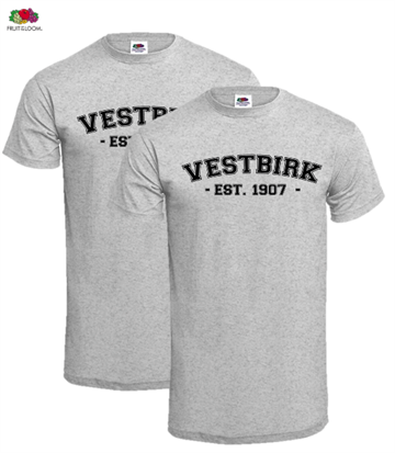 Vestbirk 2-Pak College T-Shirt
